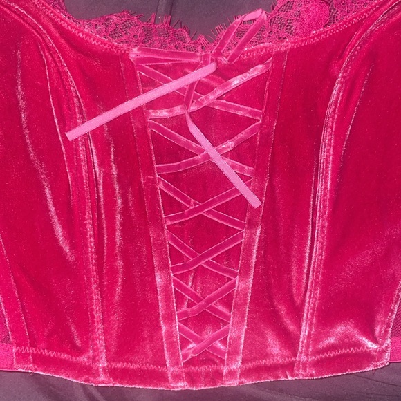 PINK x LoveShackFancy Unlined Lace-Up Corset Top - Picture 15 of 16